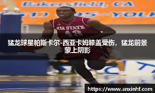 乐鱼体育